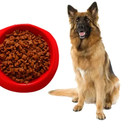  Campione gratuito alto in proteine Dry cane PET Food