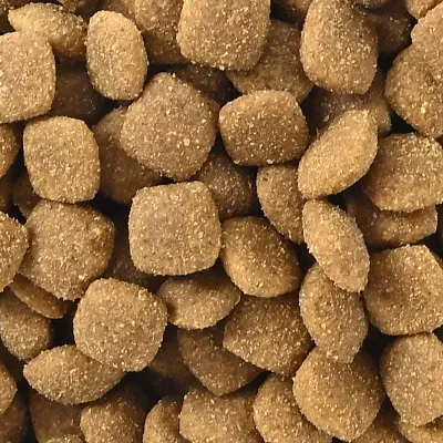 100% alimenti naturali per animali domestici sfusi alimenti naturali per cani asciutti e puri