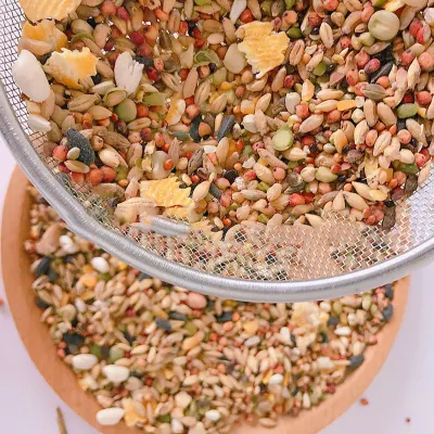 Sfuso Squirrel cibo frutta cibo frutti di mare criceto alimentare self-food Staple Cibo snack Animali domestici Bird Food