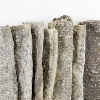  Pesce pelle Roll cane cibo