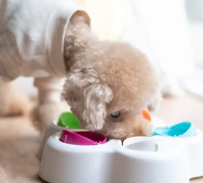  OEM Eco Education cane PET Food snack interattiva PET Puzzle Giocattolo