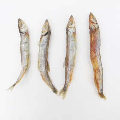 Pesce cibo fornitura delizioso gusto fresco Nutrizione supplemento di calcio liofilizzato Pesce animale animale animale cane trattare Cat snack