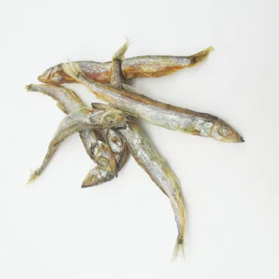Pesce cibo fornitura delizioso gusto fresco Nutrizione supplemento di calcio liofilizzato Pesce animale animale animale cane trattare Cat snack
