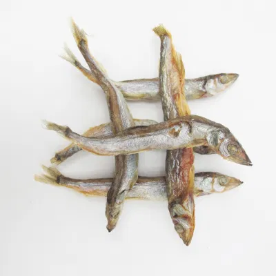 Pesce cibo fornitura delizioso gusto fresco Nutrizione supplemento di calcio liofilizzato Pesce animale animale animale cane trattare Cat snack