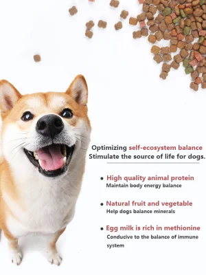 Domestico Best-selling sfusi di alta qualità cibo del cane all&prime;ingrosso