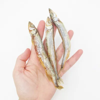 Pesce cibo fornitura delizioso gusto fresco Nutrizione supplemento di calcio liofilizzato Pesce animale animale animale cane trattare Cat snack