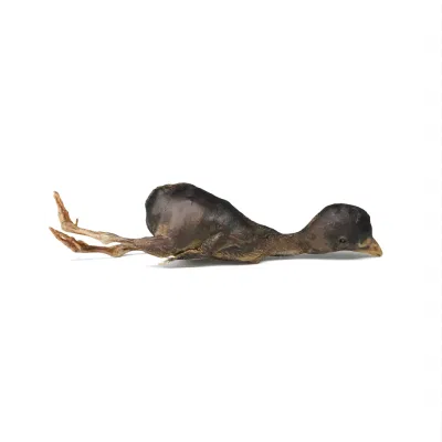  Cinese all&prime;ingrosso fabbricazione Freeze-Dried Quail Dog tratta gatto snack PET Spuntini