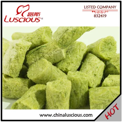  Ghiaccio secco Catnip cane gatto cibo PET snack