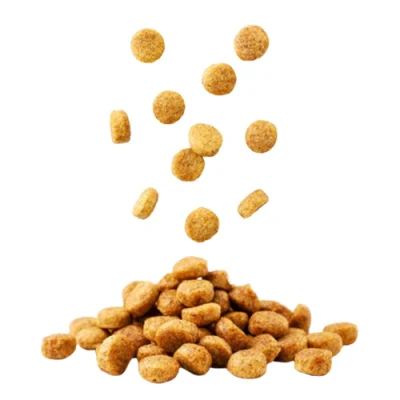  Migliorare i sistemi immunitari palatabilità organica cibo per animali domestici Dry Dog Food