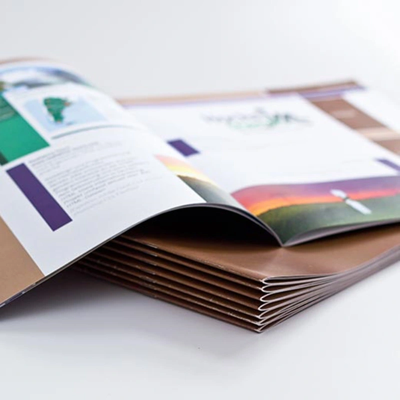 Custom Printing Offset Printing Business Catalogue Book Printing Services