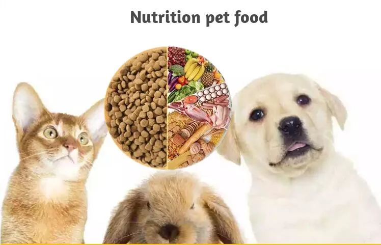 Delicious Pet Food with Chicken OEM Factory for Dog Food