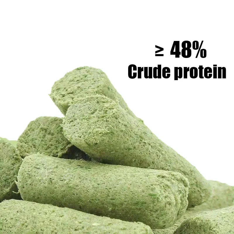 Freeze-Dried Pet Food Premium Organic Cat Snacks High Protein Catgrass