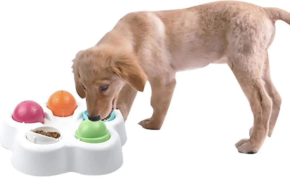 OEM Eco Education Dog Pet Food Snack Interactive Pet Puzzle Toy