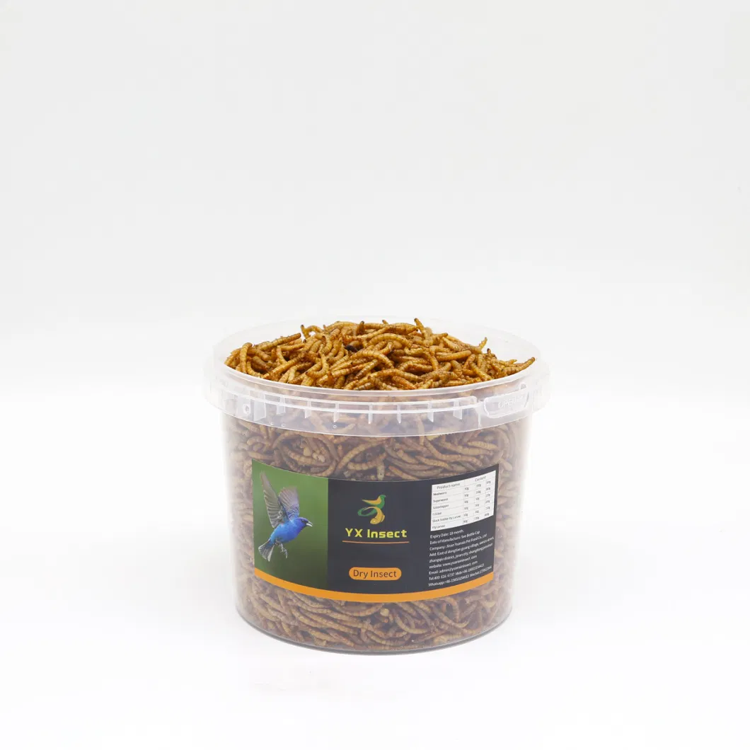 Microwave Dried Mealworm Treat for Fish/Birds/Pets/Reptiles/Chickens
