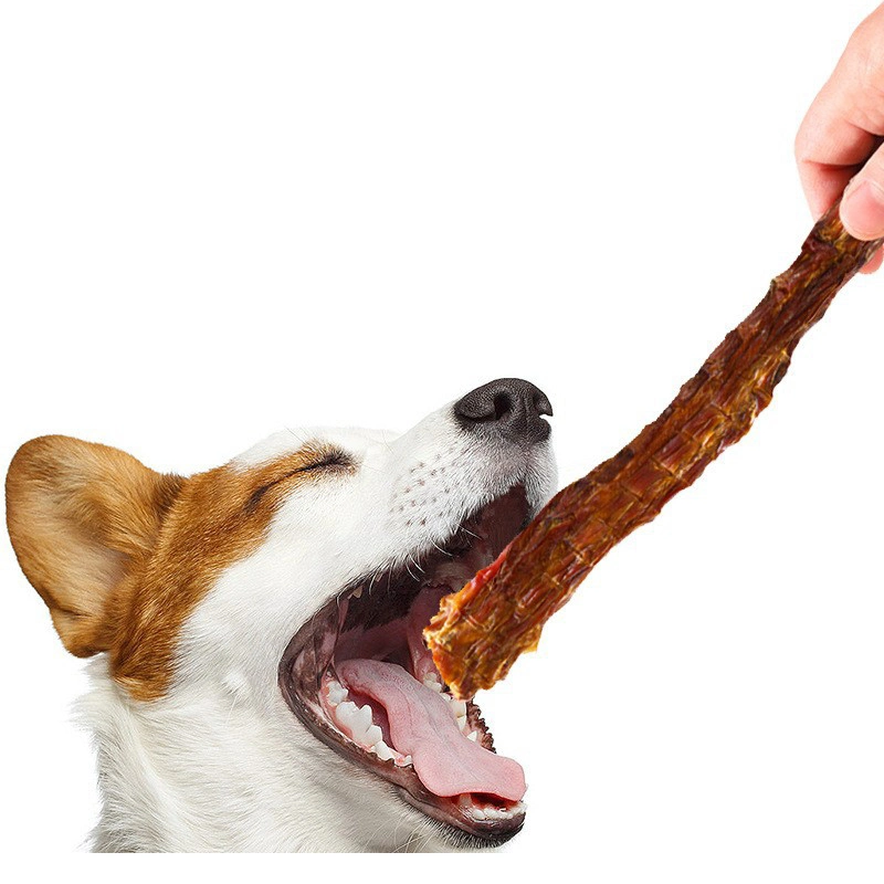Duck Neck Pet Treats Dog Molar Stick Cleaning Teeth Bone Calcium Tooth Healthy Dog Treats