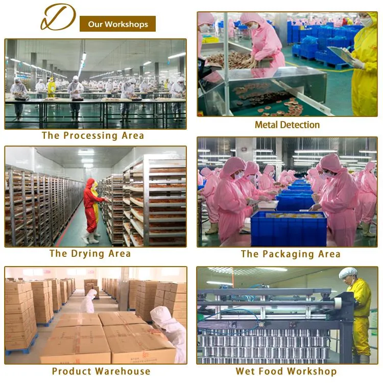Duck Chip Pet Food Dry Food Factory