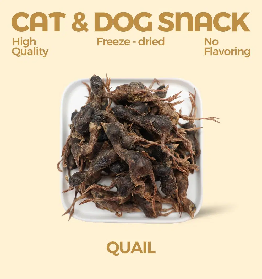 Chinese Wholesale Manufacture Freeze-Dried Quail Dog Treats Cat Snack Pet Snacks