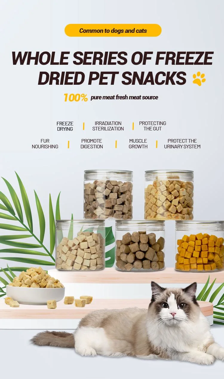Premium Organic Freeze Dried Pet Cat Dog Food