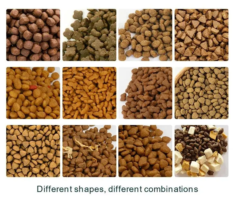 Pet Food Manufacturer High Nutrition Freeze Dried Chicken Dog and Cat Snacks Treats Customization