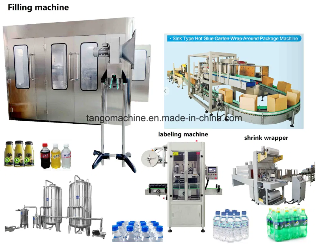 Complete Pet Bottle Mineral Water Liquid Beverage Filling Packing Production Line