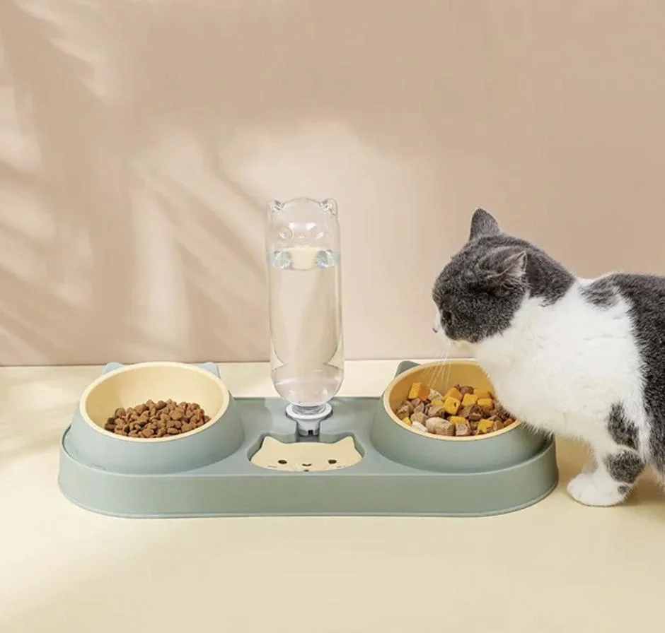 Pet Water Dispenser Filtered Drinking Bottle Treat Bowl Cat Pet Product