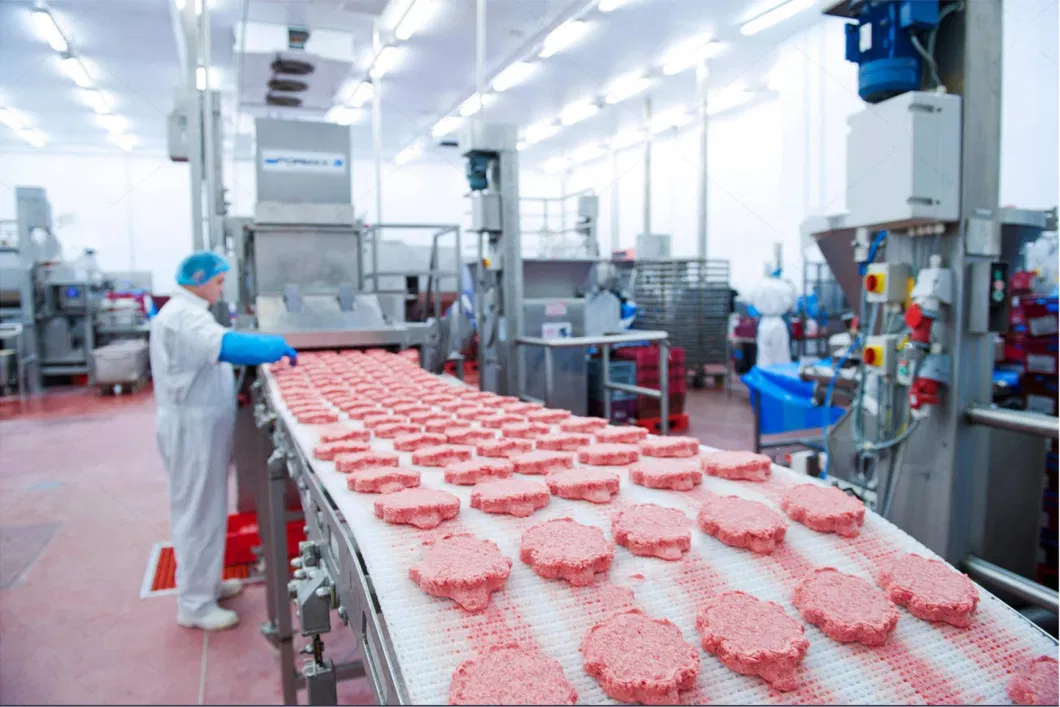 Hairise Good Quality Food Grade Beef Pork Production Line Modular Belt Conveyor