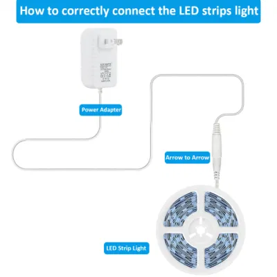 Jesled Super Bright Dimmable Warm White 2835 SMD LED Strip Light 24 Volt Flexible LED Strip Lighting