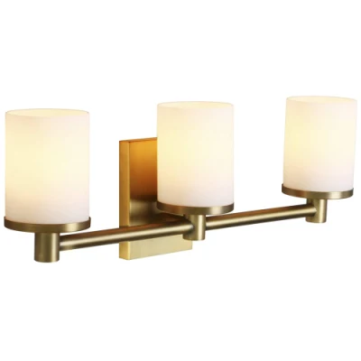 Jlw-37719 3 Head Vanity Light with Frosted White Glass Wall Mount Light