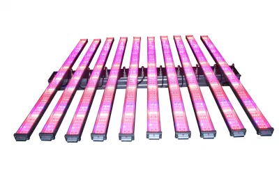  Moderno e attraente, doppio obiettivo regolabile 400 W/600 W/800 W/1000 W, violetto, Spider, con funzione di &quot;hydroponic&quot; Acquista barre luminose a LED Grow per la riproduzione di piante