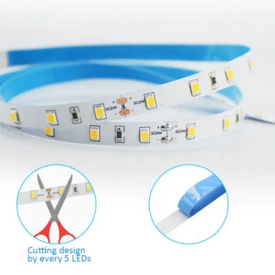 LED bianco luminosità regolabile da 5 m 10 m 15 m 20 m. Kit di luci a striscia flessibile SMD 2835 con striscia di LED da 24 V. ADATTATORE 3A