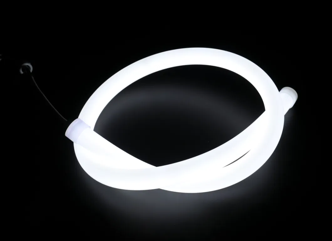 UL, CE and RoHS Approved Flexible Neon Strip Light Twist and Bend at Any Angle of 360 Degree