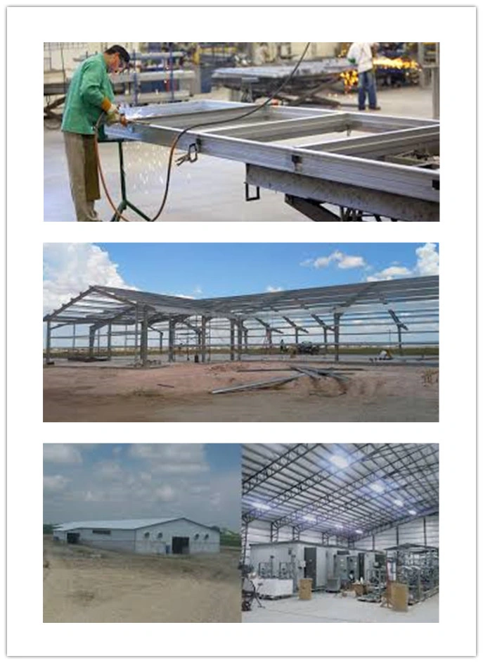 Morden Customized Prefab Light Frame Steel Structure (TW370J)