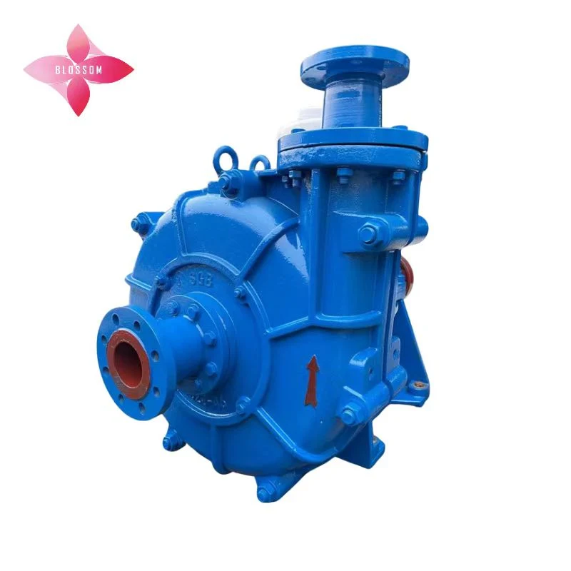 Vertical Non-Clogging Submersible Slurry Pump, Solid Slurry Pump, Centrifugal Vertical Slurry Pump Electric Motor Cast Iron