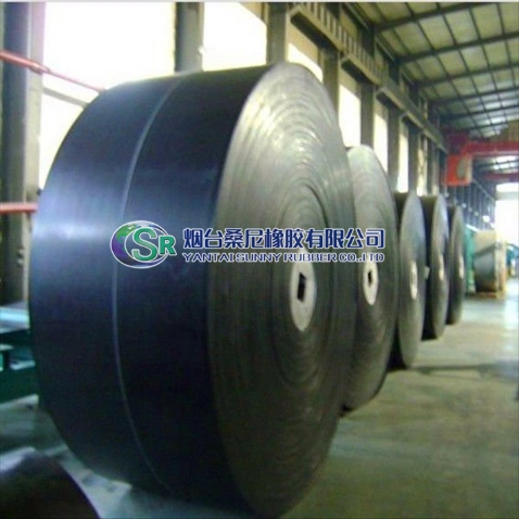Tear Resistant and Flame Retardant Steel Wire Rope for Coal Mine Steel Wire Rope Reinforced Rubber Conveyor Belt