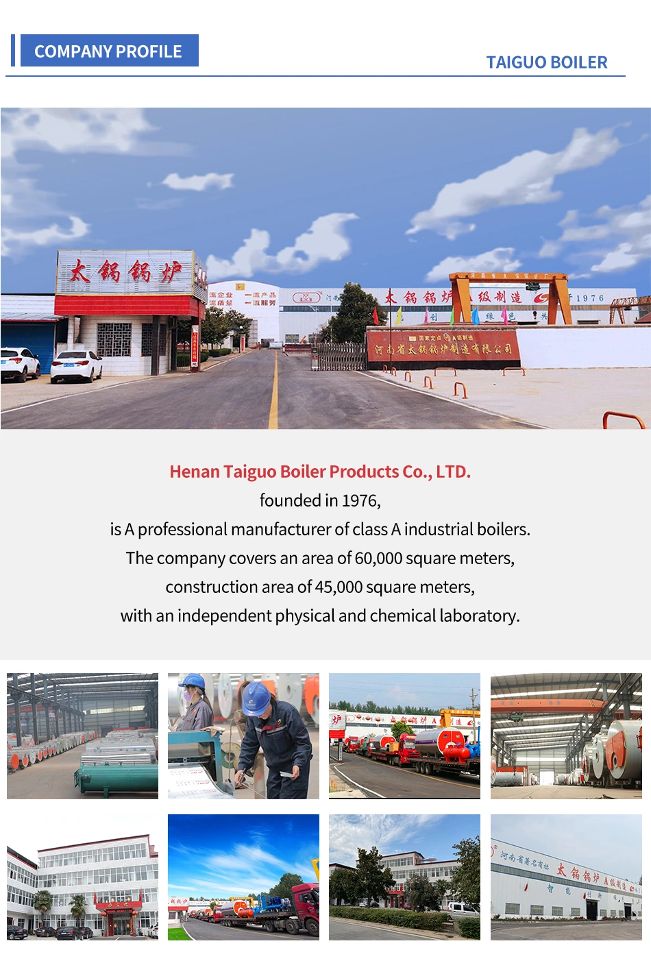 Traveling Grate Stoker Automatic Steam Coal or Rice Husk Boiler Price