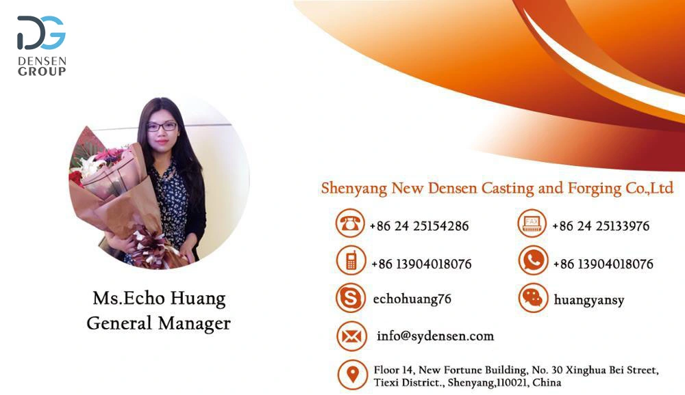 Densen Customized Polishing Casting Lost Wax Casting Foundry for Meat Grinder