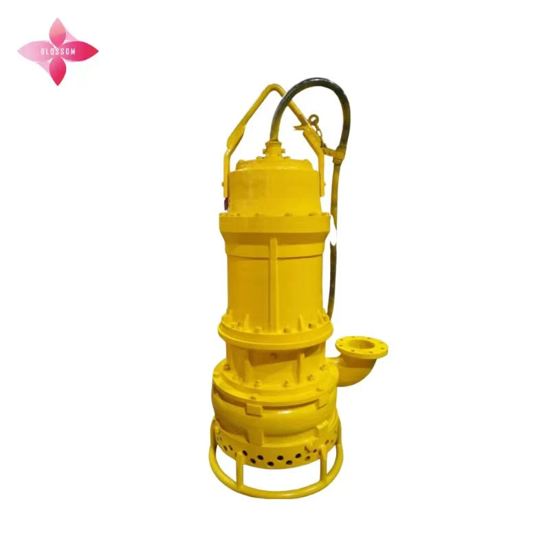 Vertical Non-Clogging Submersible Slurry Pump, Solid Slurry Pump, Centrifugal Vertical Slurry Pump Electric Motor Cast Iron