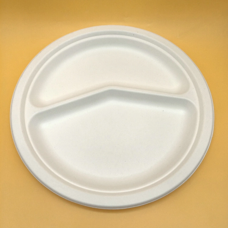 Environment-Friendly Degradable Sugarcane Pulp Two-Grid Dinner Plate