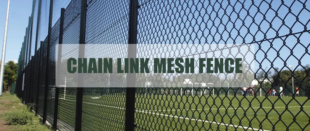 Outdoor PVC Coated Chain Link Fence Sports Ground Galvanized Diamond Fence