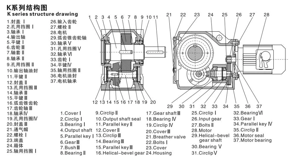 Helical-Bevel Gear Reducer Cheap Price and High Quality Cast Iron Housing with Foot Mounted Hollow Shaft