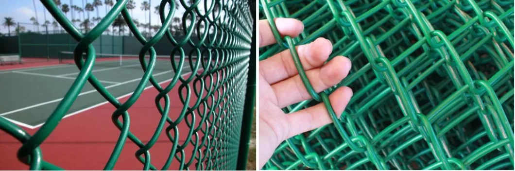 Outdoor PVC Coated Chain Link Fence Sports Ground Galvanized Diamond Fence