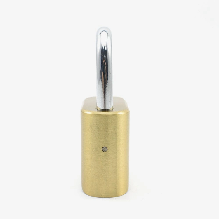 Yh1238 Heavy Duty 4 Digit Combination Steel Outdoor Lock Die Casting with Hardened Brass Padlock Long Short Shackle