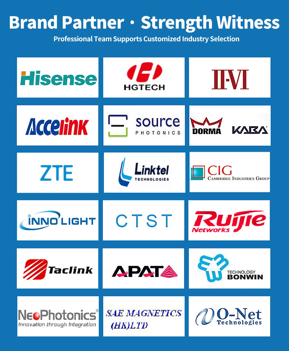 ISO9001 IATF 16949 Certificated Professional Manufacturer Zinc Alloy/Aluminum Die Castings