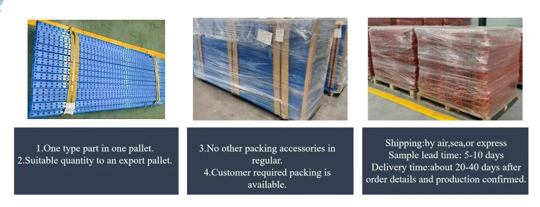 Hot Selling Automatic Cold Chain Steel Pallet Rack/Shelf for Warehouse Storage.