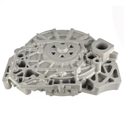 OEM ODM Foundry alluminio CNC lavorazione colata a gravità bassa pressione Pressofusione per raccordo tubo a guscio della pompa