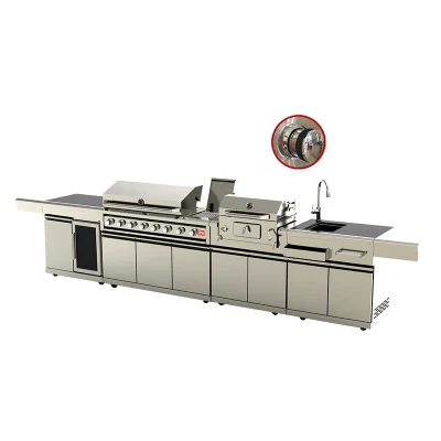  Famiglia di acciaio inossidabile uso durevole barbecue cucina outdoor Sink Cabients Griglia a gas carbone