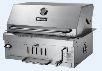 Forno per pizza Pellet di alta qualità acciaio inox 430 carbone incorporato Barbecue Pellet