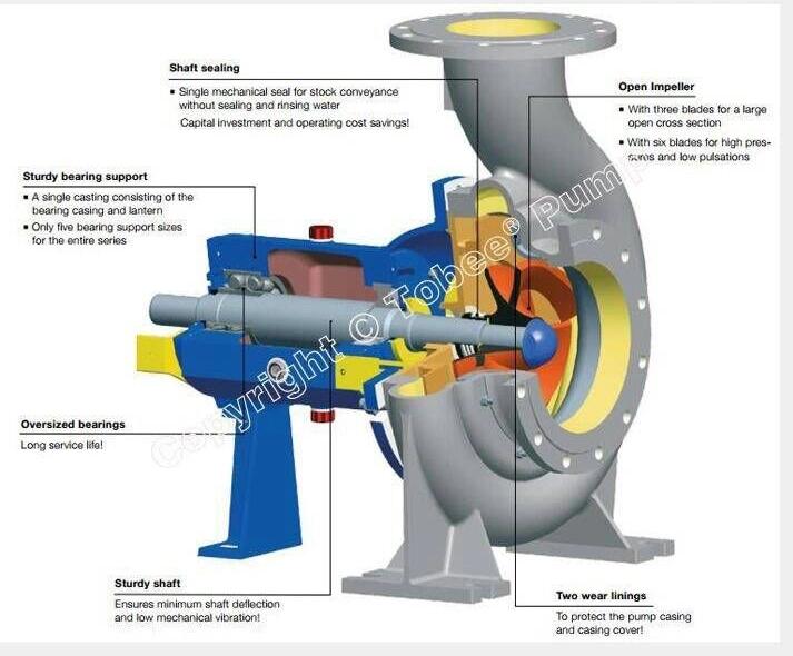 OEM Spare Parts of Pump Andritz for Recycled Fibre Preparation Pumps