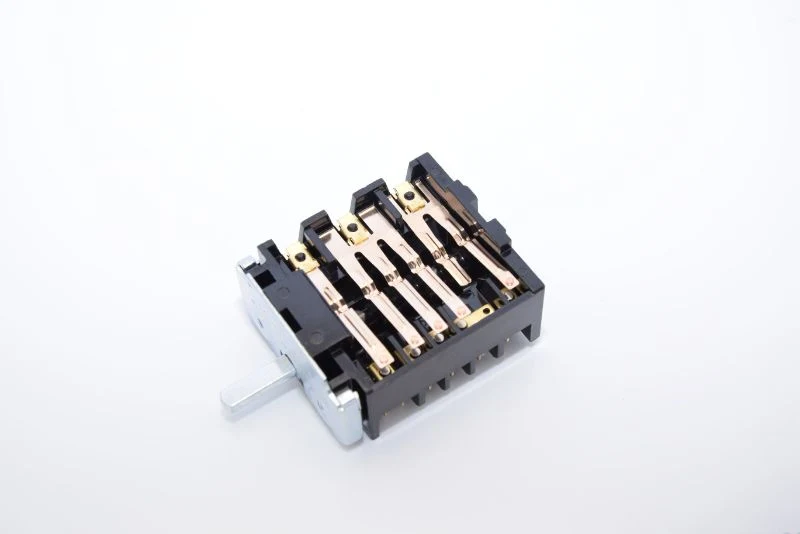 Hot Sale Electric Parts Spare Light Rotary 16A Oven Switch Part with GS