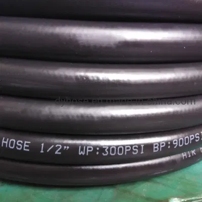 Rubber Diesel Flexible Oil Resistant Petrol Air Oil Water Gas Fuel Pump Hose for Fuel